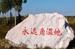 永遠(yuǎn)角濕地